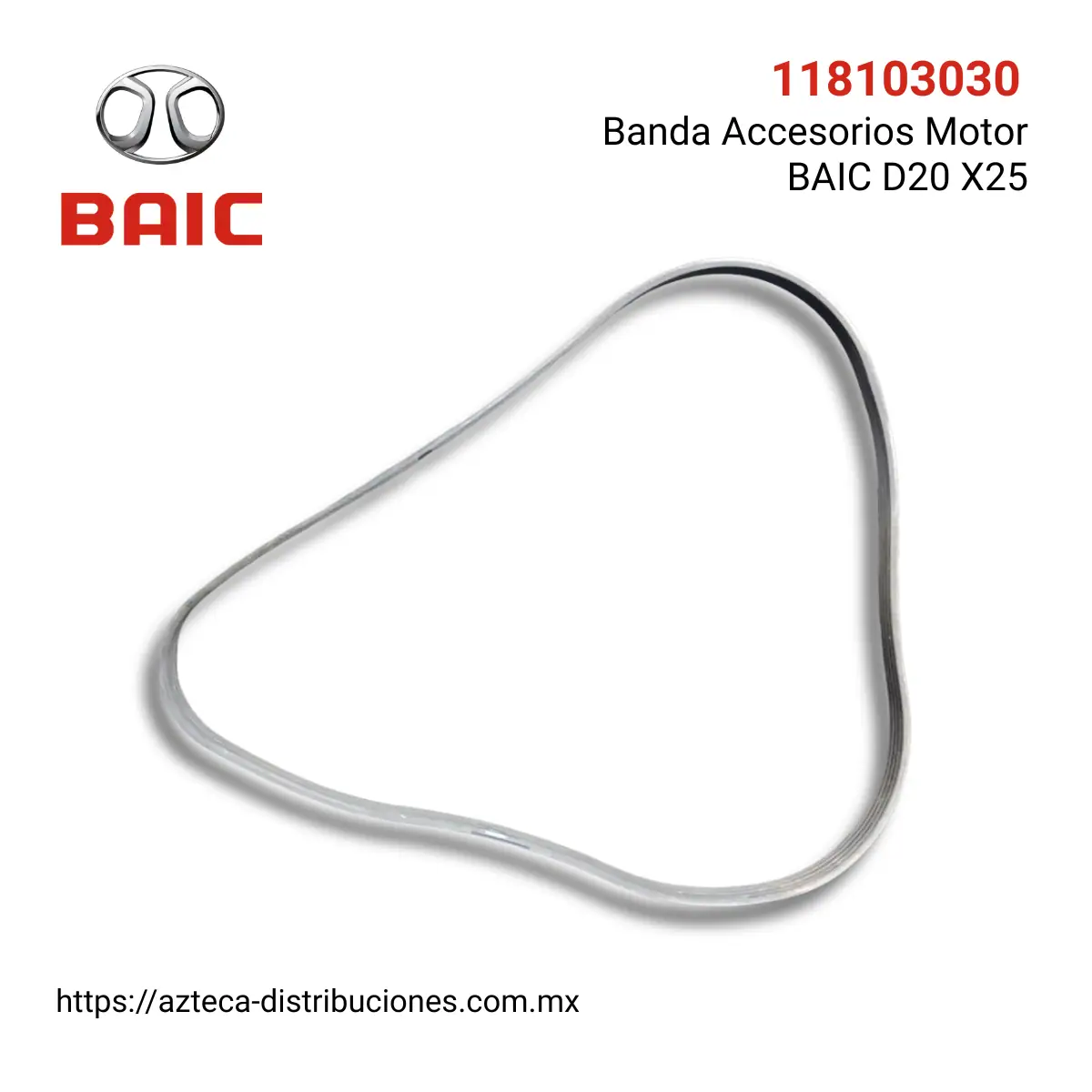 Banda Accesorios Motor BAIC D20 X25